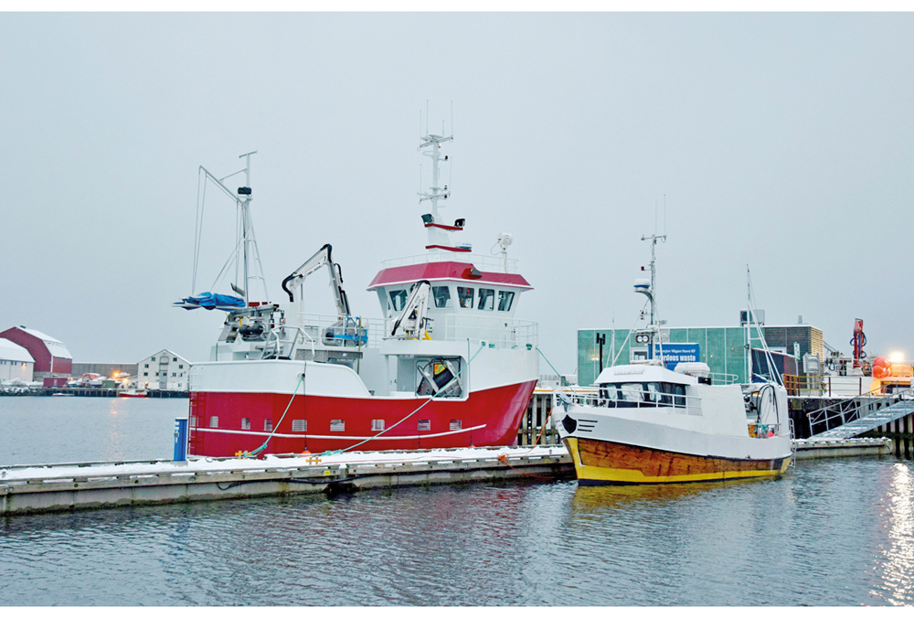 Figur 4.16 To fartøy på hhv. 10,98 og 10,5 meter, byggeår 2018 og 1971.