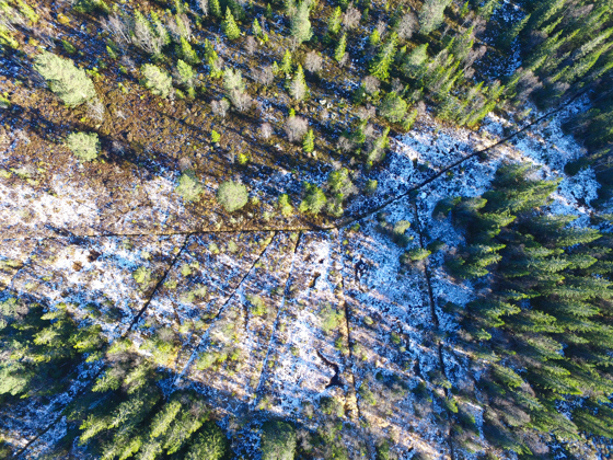 Dronefotografering av restaurering av myr. Dronefotografering av restaurering av myr.
