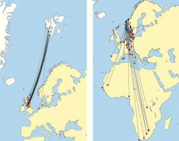 Figur 10.1 Norge deler mange arter med andre land. Bonnkonvensjonen om
vern av trekkende arter av ville dyr regulerer vernet om trekkende arter.
Konvensjonen skiller ikke mellom trekkende landdyr og marine dyr.
Kart nr. 1 viser trekkruter med gjenfunn for...