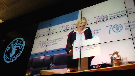 I sitt innlegg la Listhaug vekt at antibiotika ikke må brukes som vekstfremmende middel, men forbeholdes behandling av menneske- og dyresykdommer.