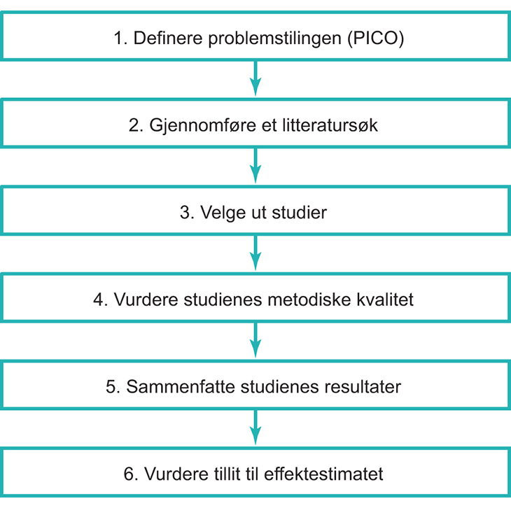 Figur 10.2 Prosess for en systematisk oversikt