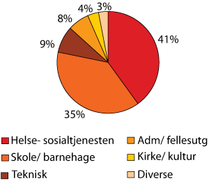 Figur 12.2 Fordeling av kommunale utgifter etter regnskapstall 2004