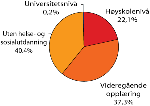 Figur 5.3 Kompetansenivå i omsorgssektoren per 4. kvartal 2005