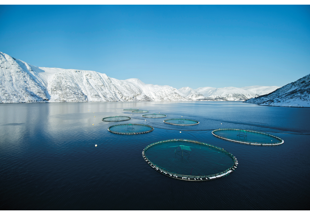 Figur 5.3 Norsk oppdrettsnæring har vokst betydelig siden 1970-tallet. Innen havbasert fiskeoppdrett er norsk produksjon i dag størst i verden. Bildet viser merder for lakseproduksjon.