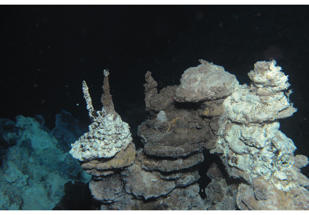 Figur 5.5 Utnyttelse av mineraler på havbunnen kan bli en viktig næring på lengre sikt. Bildet viser hydrotermale skorsteiner på Soria Moria-feltet, som ligger mellom Jan Mayen og Bjørnøya.