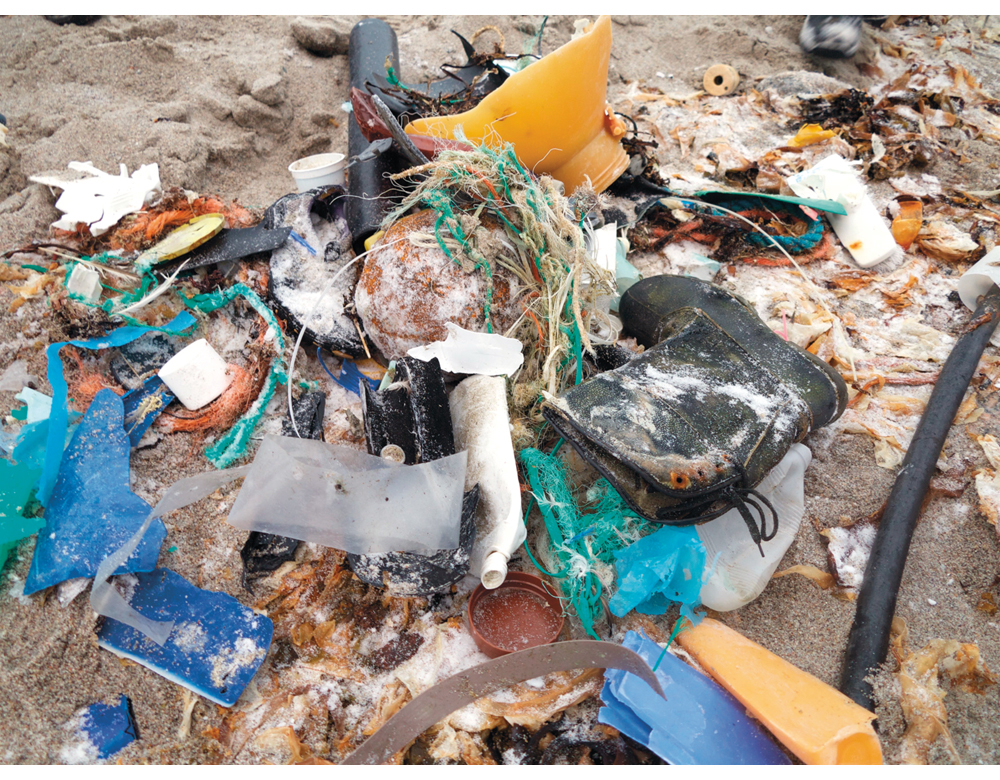 Figur 6.3 Havet og kysten tilføres store mengder avfall. Gjenstander av plast, gummi og andre lite nedbrytbare materialer kan bli værende i miljøet i hundrevis av år og skade dyr og mennesker. Bildet er tatt på en strand på Svalbard.