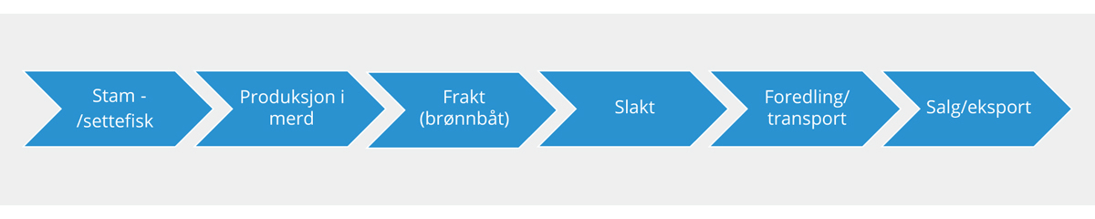 Figur 3.14 Verdikjeden for akvakultur