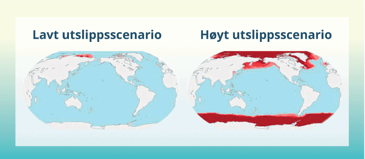 Figur 3.4 Forventet global fordeling av havforsuring mot slutten av århundret.