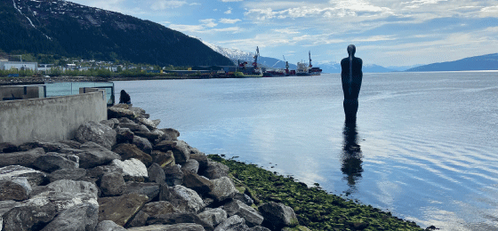 Figur 5.10 Mo i Rana har en lang og sterk industritradisjon. Her blikk utover Ranfjorden med Havmannen i forgrunnen.