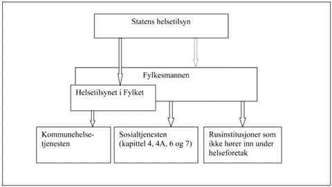 Figur 14.1 Skjematisk oversikt over tilsynet med den kommunale sosial-
og helsetjenesten