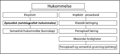 Figur 2.1 Et konsensusskjema for hukommelse