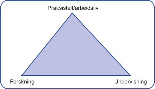 Figur 15.2 Sentrale aktører i samarbeidet rundt forskningsbasert
undervisning