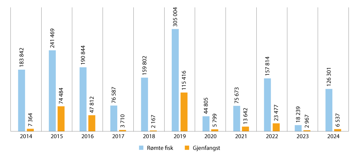 Figur 3.8 Antall innmeldte rømte oppdrettsfisk og gjenfangst fra og med 2014 til 2024.