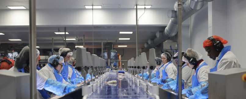 A photo showing Lerøy Norway Seafoods’ facility in Båtsfjord.