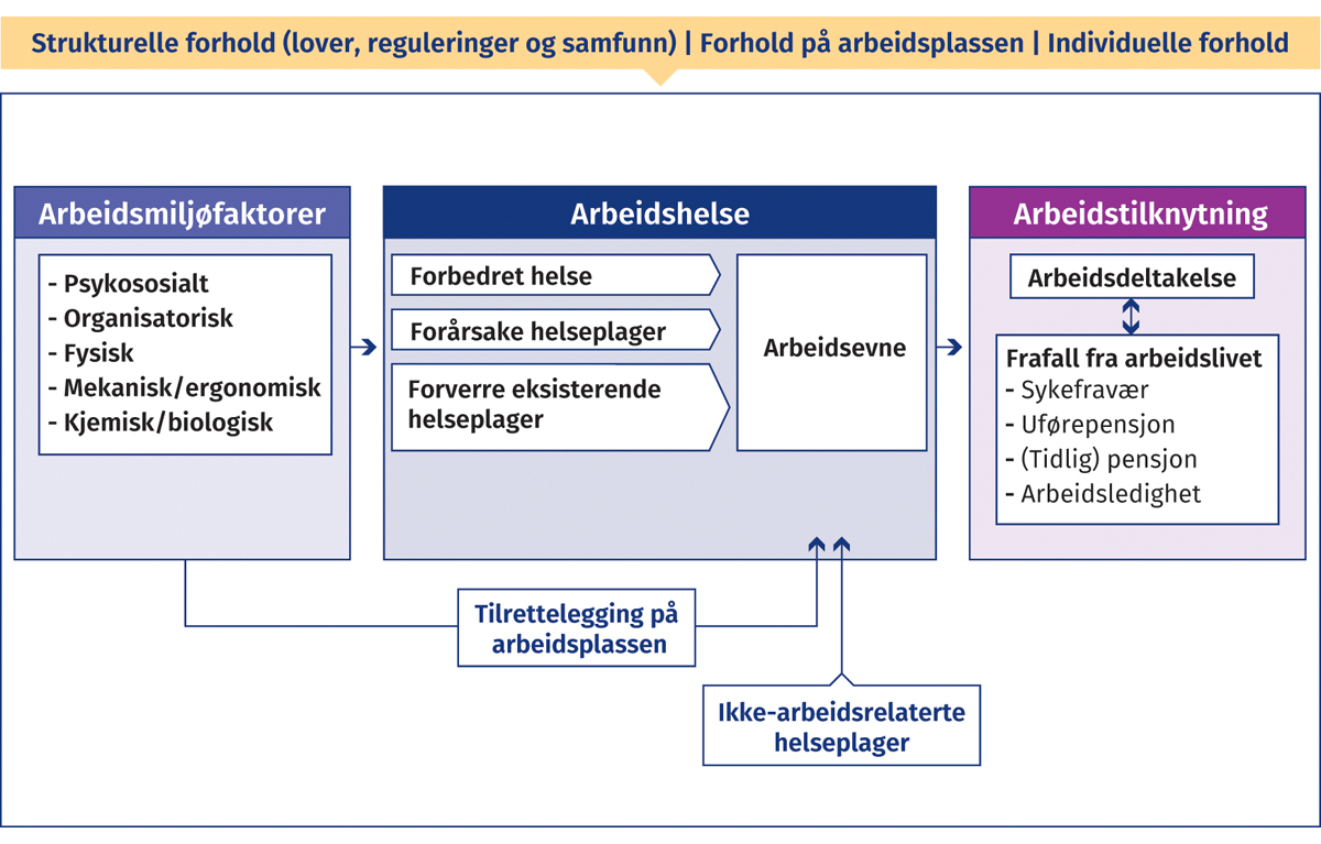 Figur 4.8 Figuren illustrerer hvordan ulike arbeidsmiljøforhold kan påvirke kvinners arbeidshelse og arbeidstilknytning. Noen faktorer vil kunne ha en positiv innvirkning på arbeidshelsen, noen vil ha en negativ innvirkning og noen vil kunne påvirke enten posi...