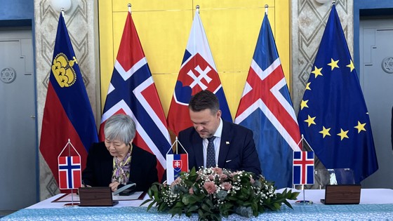 To mennesker som sitter ved et bord fremfor flere flagg
