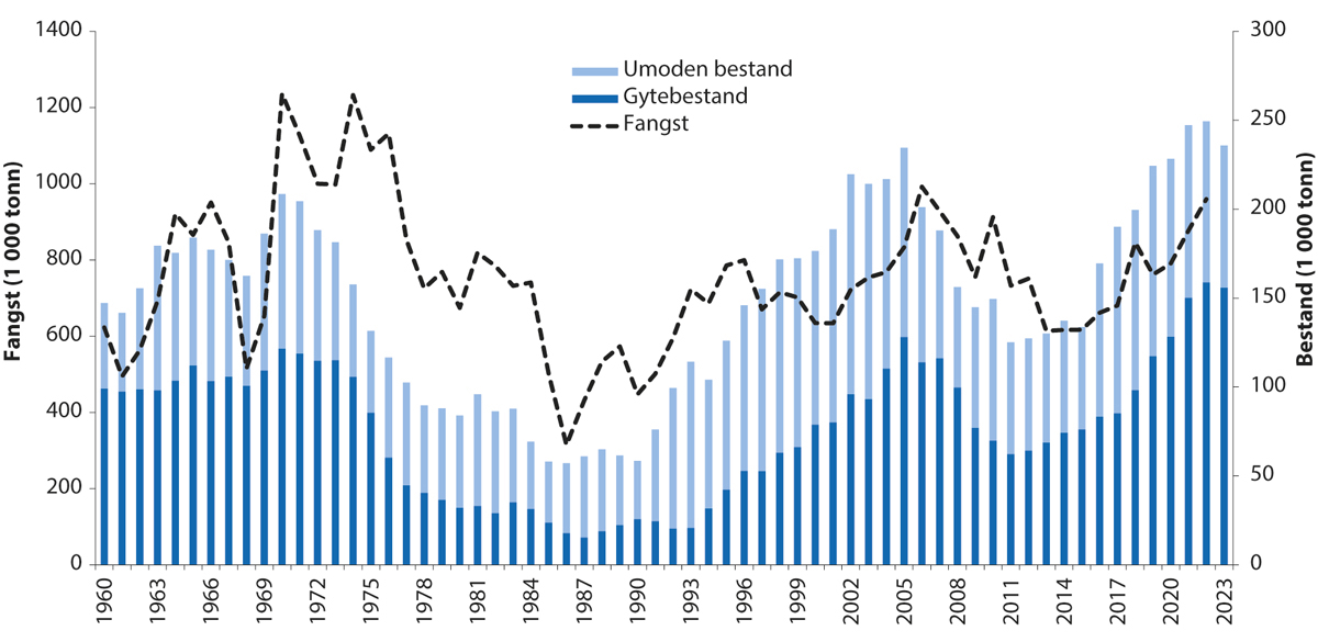 Figur 4.13 Utviklinga i bestand og fangst av nordaustarktisk sei.