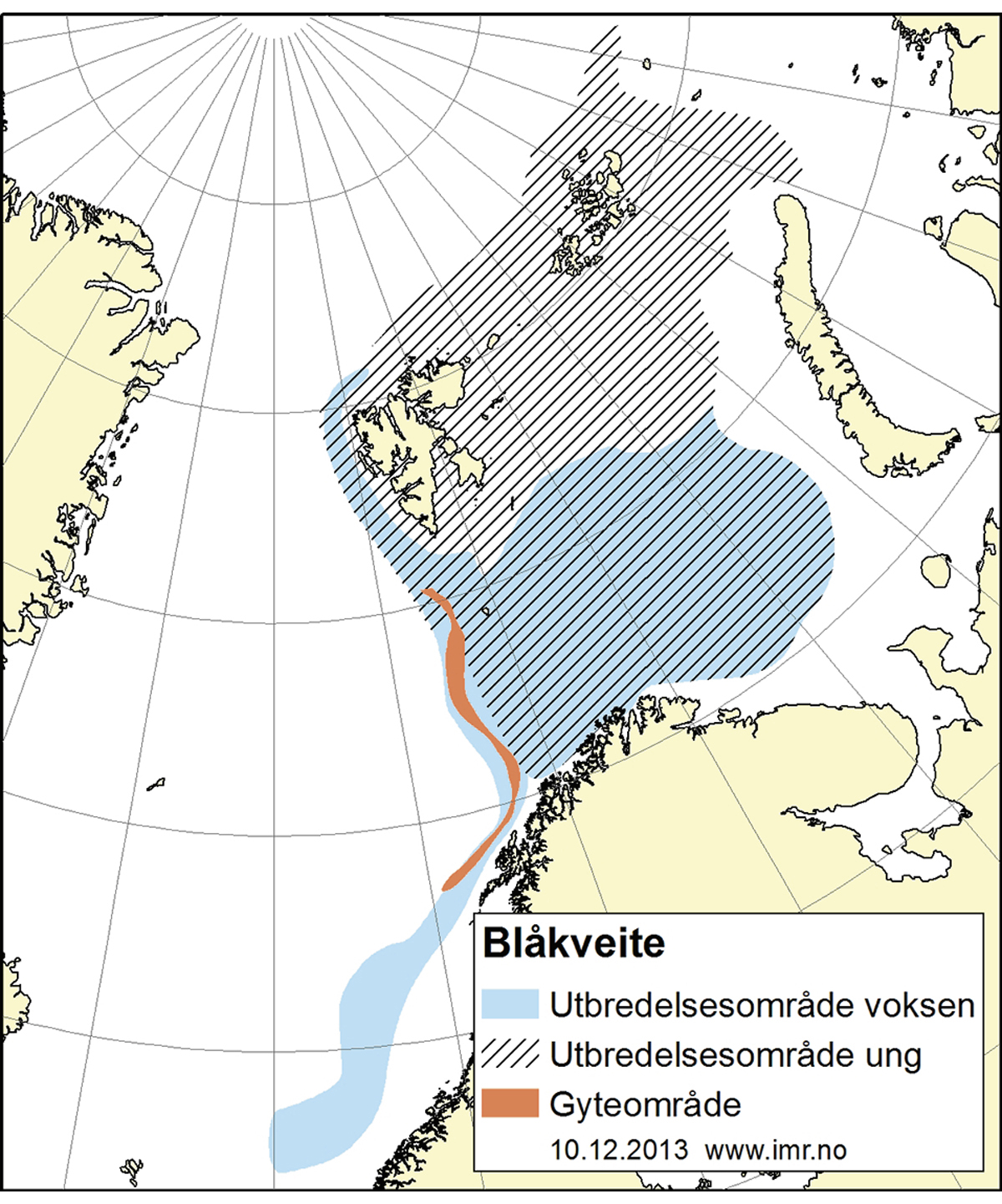 Figur 4.15 Utbreiingsområde og gyteområde for nordaustarktisk blåkveite.