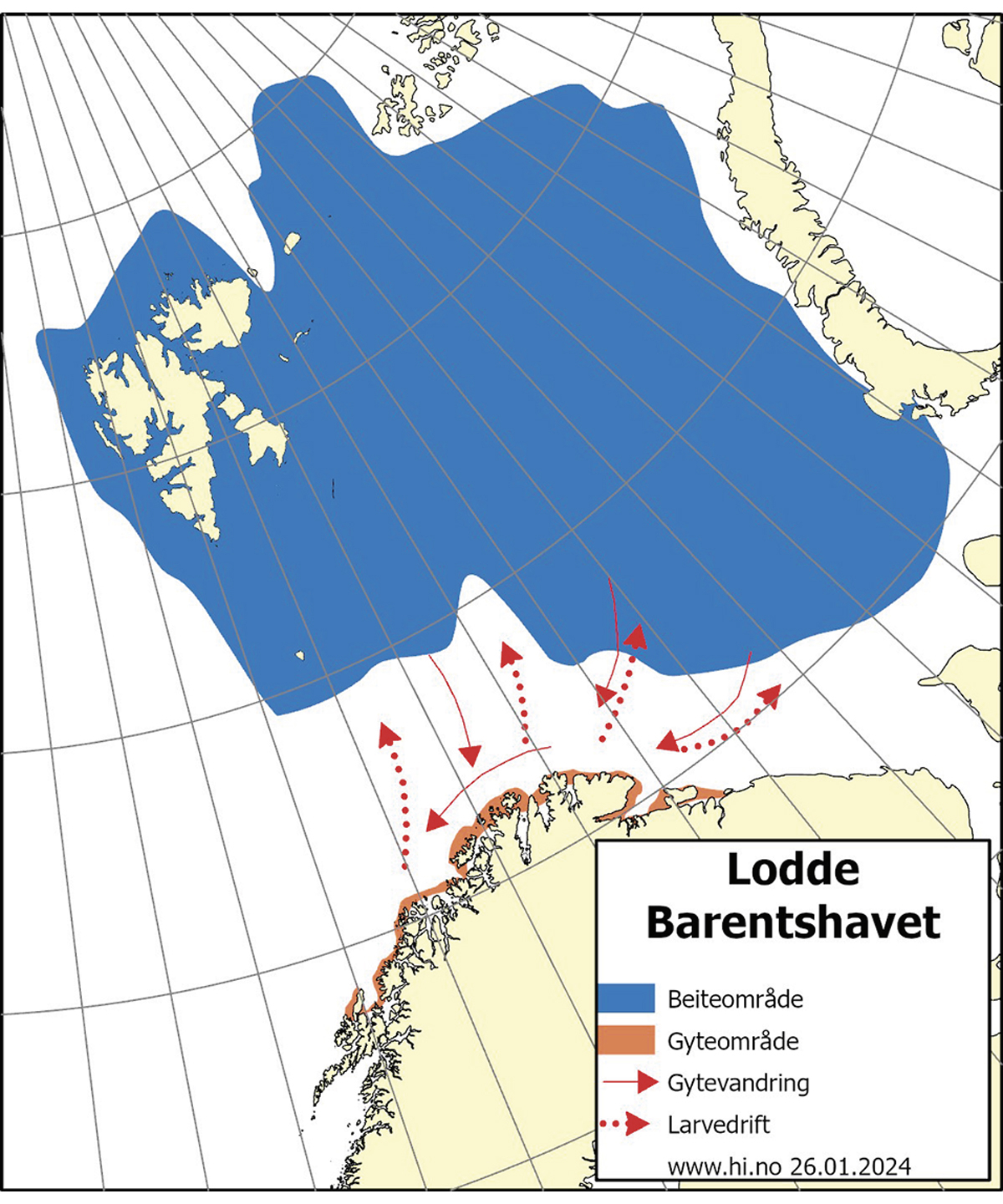 Figur 4.21 Utbreiingsområde og gyteområde for lodde i Barentshavet.
