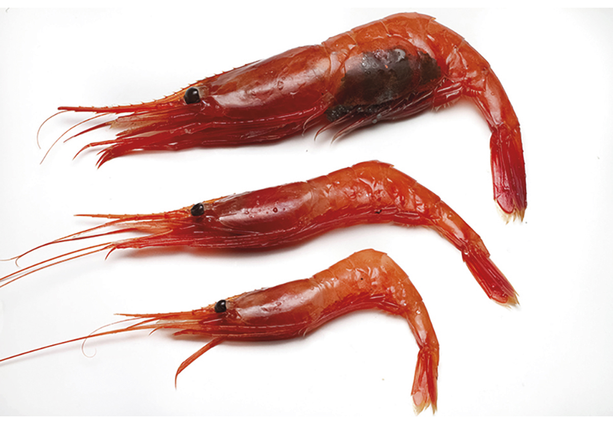 Figur 4.57 Reke
