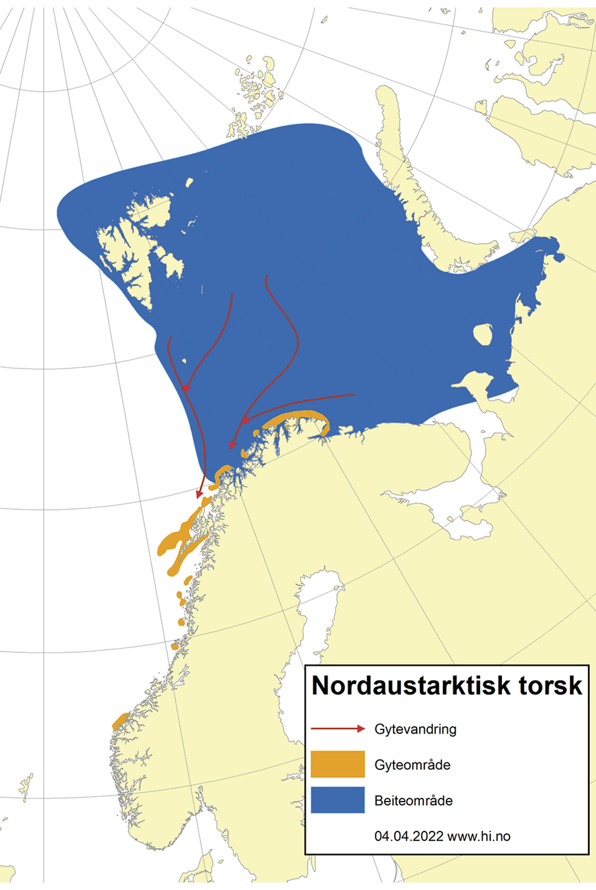 Figur 4.6 Utbreiingsområde og gyteområde for nordaustarktisk torsk.