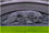 Close up of Guarding Lynx