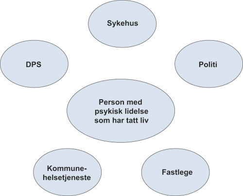 Figur 15.1 Tjenester/institusjoner som informantene er ansatte
i