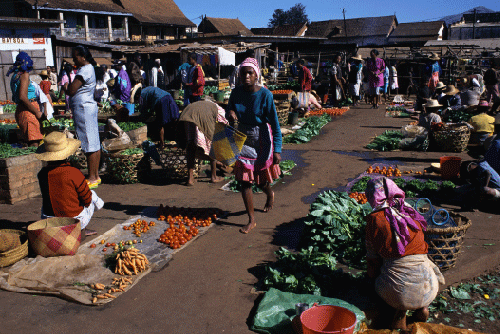 Figur 5.4 Marked på Madagaskar