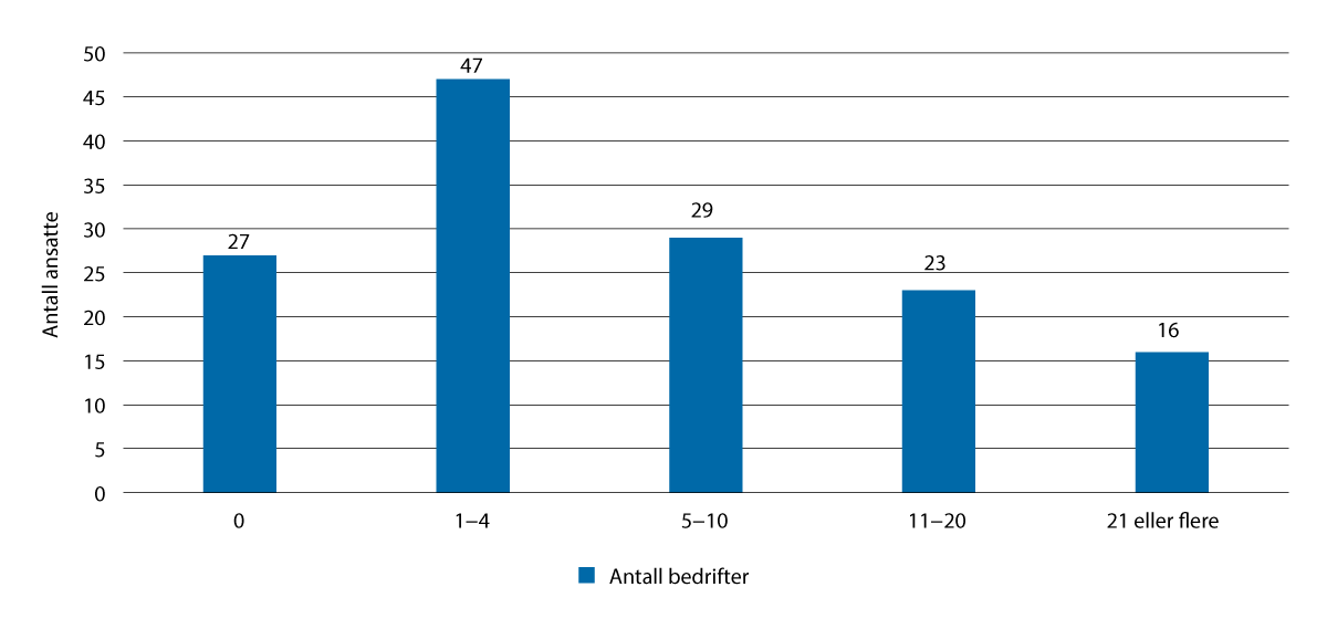 Figur 3.10 Sysselsetting i vekstbedriftene i 2023 (regnskapstall)