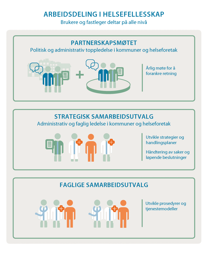 Figur 2.1 Arbeidsdeling i helsefellesskap