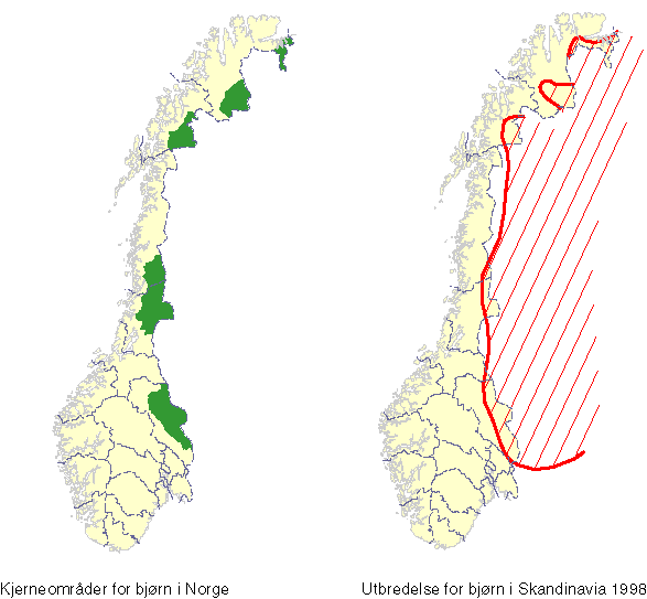 Figur 4-2 Lokalisering av de fem kjerneområdene for bjørn i Norge, samt Skandinavisk utbredelseskart fra 1998 (Direktoratet for naturforvaltning).