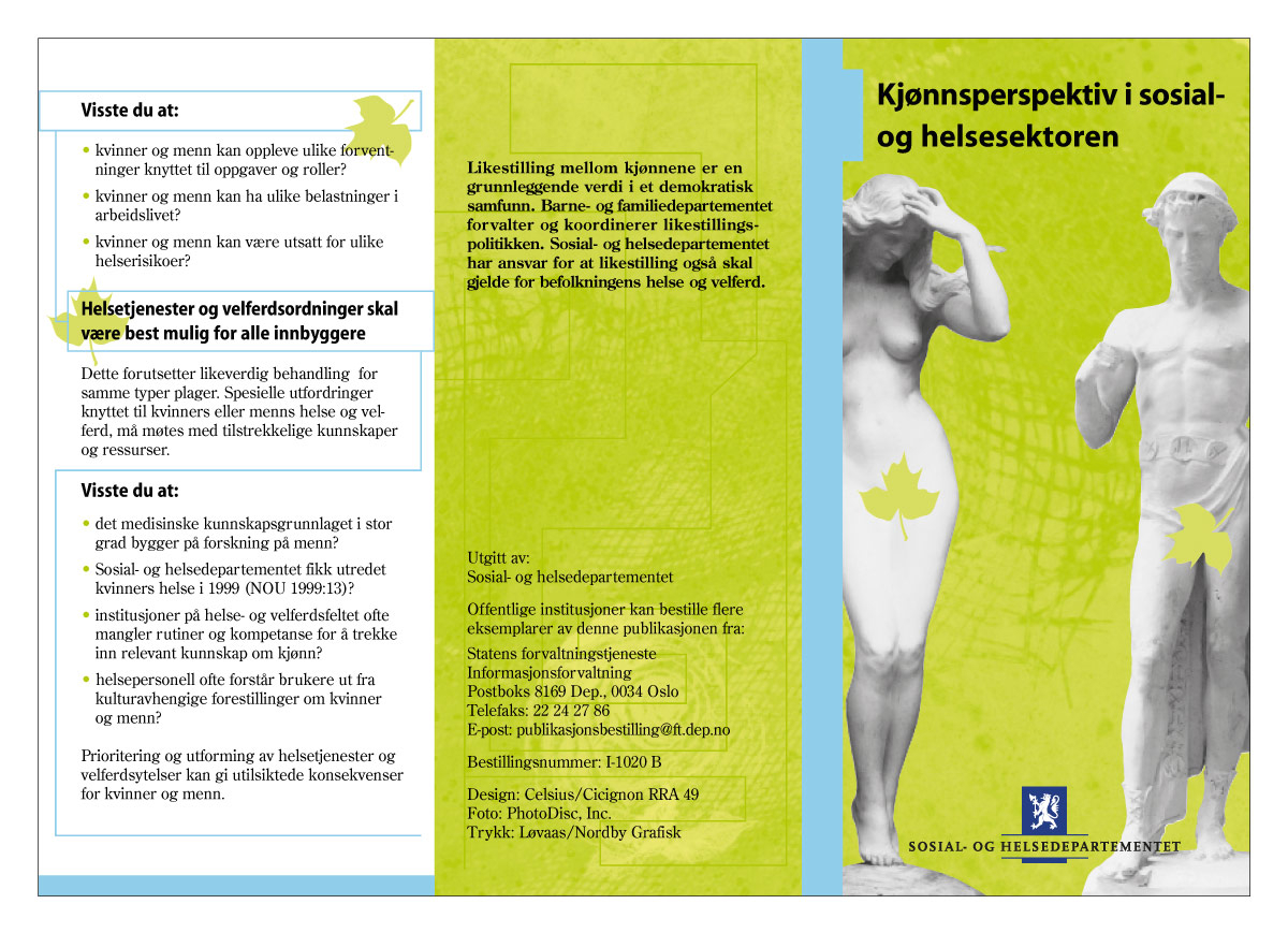 Figur 3.1 Kjønnsperspektiv i sosial- og helsesektoren (63).