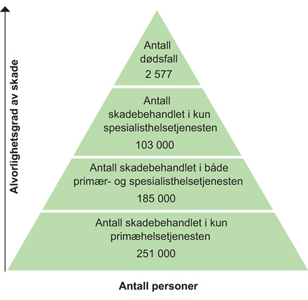 Figur 6.2 Det totale skadebildet per år i gjennomsnitt, 2009–2011