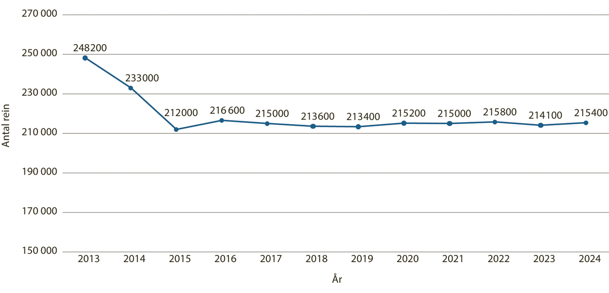 Figur 5.11 Korrigert reintall per 31. mars 2013-2023, og beregnet reintall per 31. mars 2024
