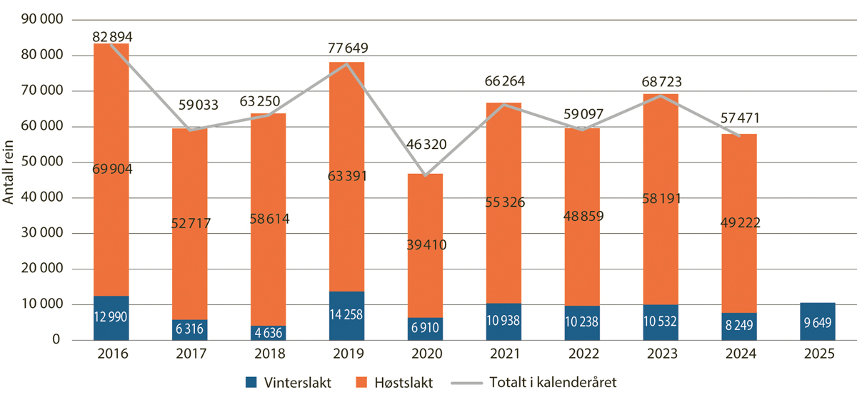 Figur 5.15 Antall slakt til slakteri per kalenderår 2016-2024, og vinterslakt 2025