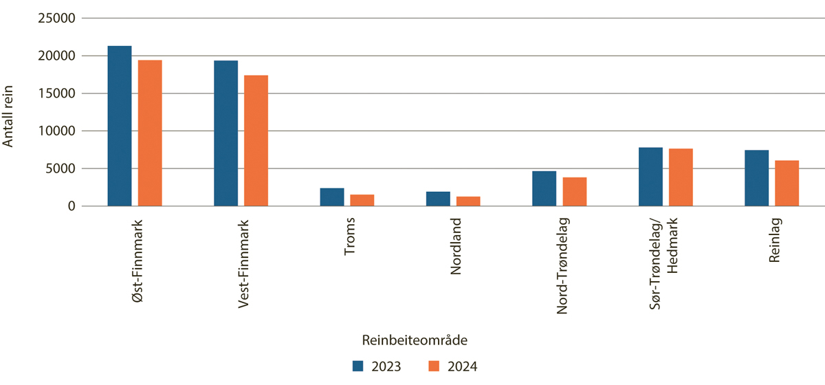 Figur 5.16 Slakteuttak (antall rein), per reinbeiteområde og reinlag 2023–2024