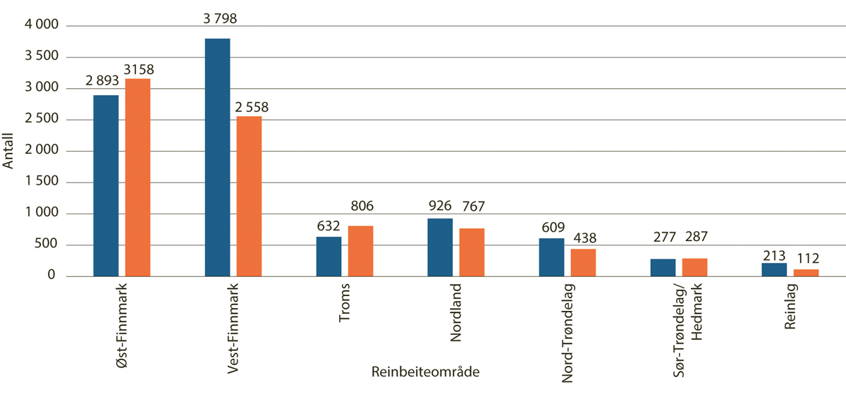 Figur 5.9 Tap av rein av andre årsaker enn rovvilt, per reinbeiteområde og reinlag 2023–2024