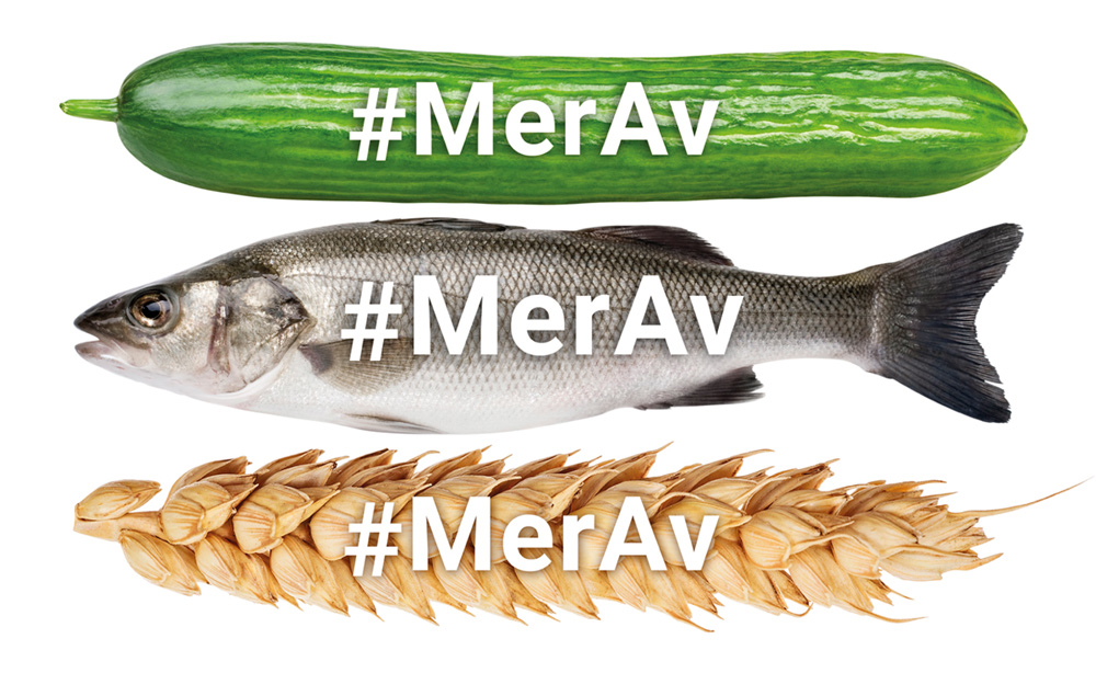 Figur 6.3 Bilete av kampanjeelement som blir nytta i #Merav-kampanjen i 2018.