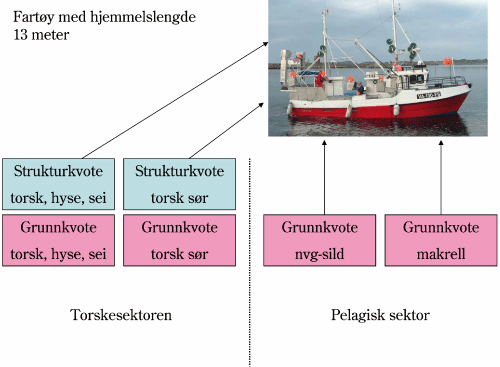 Figur 4.11 Eksempel på struktureringsmuligheten innenfor torskesektoren for fartøy med hjemmelslengde 13 meter