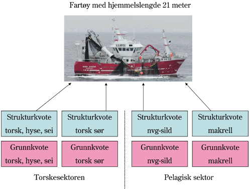 Figur 4.9 Eksempel på struktureringsmuligheten innenfor både torskesektoren og pelagisk sektor for fartøy med hjemmelslengde 21 meter