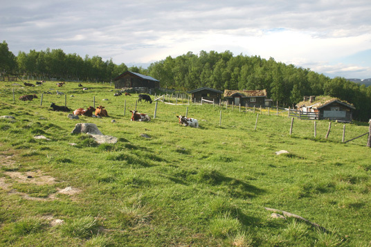 Kulturlandskap: Vangrøftdalen i Os i Hedmark. Foto: Yngve Rekdal