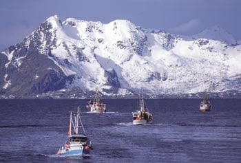 Figur 10.4 Kystfartøy under «stiming»