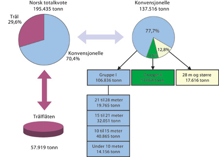 Figur 7.2 Fordeling av totalkvoten for torsk nord for 62°N i 2003