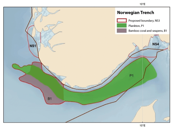 Figure 4.13 Map showing important ecosystem components in the Norwegian Trench. Winter distribution of copepods in the Norwegian Trench (P1) and core areas for bamboo coral (Isidella lofotensis) and several seapen species (B1). The map is based on relative quant...