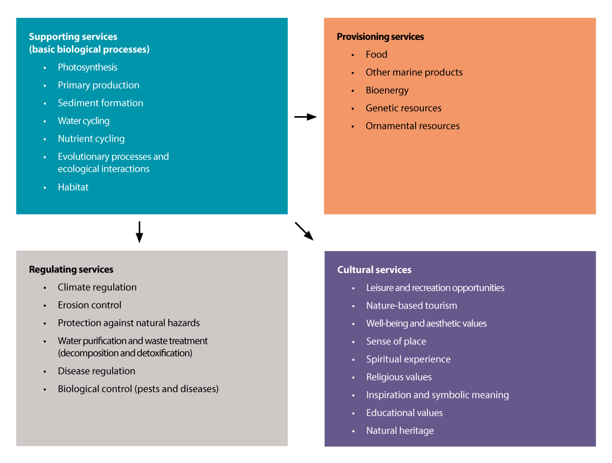 Figure 4.19 The four categories of ecosystem services, with examples that are relevant to marine and coastal waters.