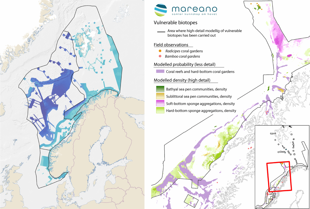 Figure 4.20 Mapping the seabed. Areas where the MAREANO programme has mapped depth and topography or obtained data from other sources (left). Vulnerable habitats modelled on the basis of data collected by the MAREANO programme (right).