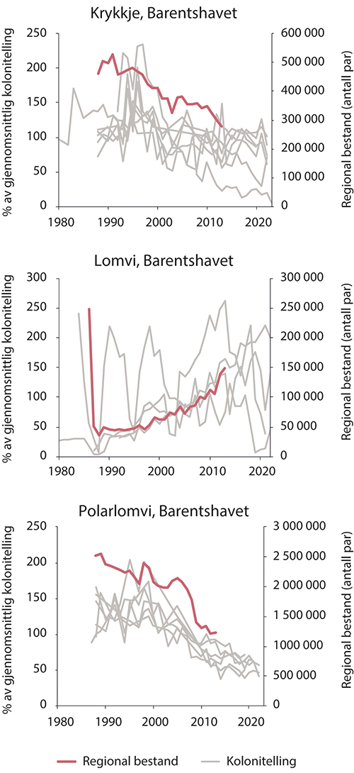 Figur 3.6 Sjøfuglbestander i Barentshavet. Bestandsutvikling for krykkje, lomvi og polarlomvi. Tykk rød strek viser estimert bestandsstørrelse, tynne grå streker viser bestandsovervåking i enkeltkolonier.