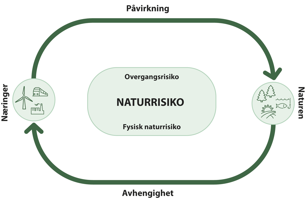 Figur 6.1 Naturrisiko inkluderer både avhengighet av og påvirkning på natur for næringer og deres aktiviteter – dobbel vesentlighet