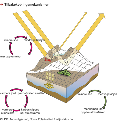 Figur 2.2 Tilbakekoblingsmekanismer