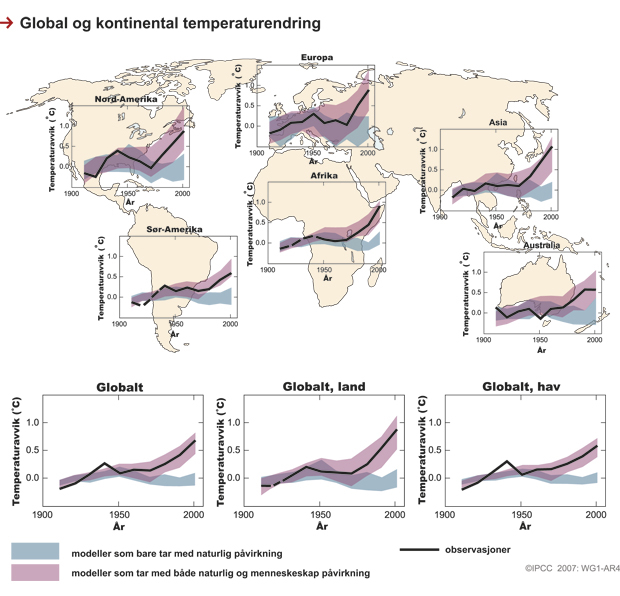 Figur 2.3 Den globale oppvarmingen kan ikke forklares uten at man inkluderer effekten av menneskeskapt påvirkning på klimasystemet. Figuren viser en sammenligning av observerte temperaturendringer på jordoverflaten, globalt og kontinentalt, med resultater fra klimamodeller med bare naturlig pådriv og med kombinert naturlig og menneskeskapt pådriv. De blå skraverte områdene viser temperaturutviklingen fra 1900–2000 beregnet av klimamodellene når bare naturlige endringer i klimapådrivere er lagt til grunn for beregningene. Rosa skraverte områder viser temperaturutviklingen ifølge modellene når både naturlige og menneskelige endringer i klimapådrivere er inkludert.